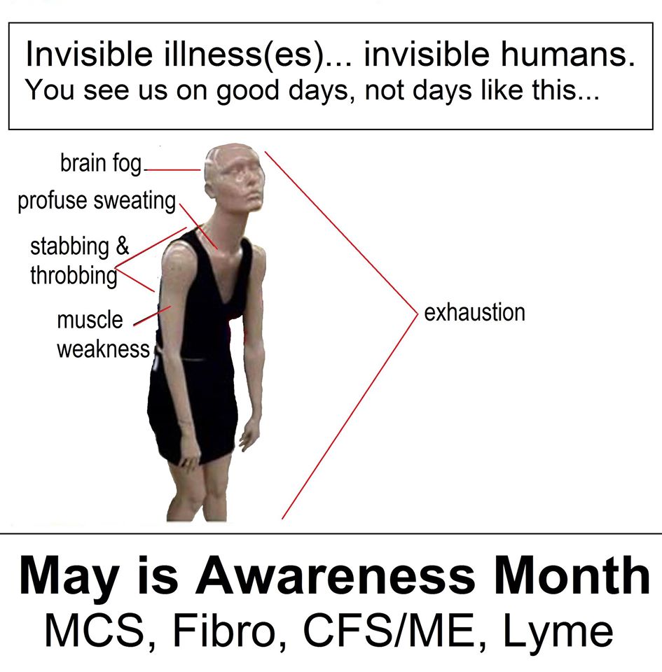 12593772_10154142269445883_6321413737732808252_o