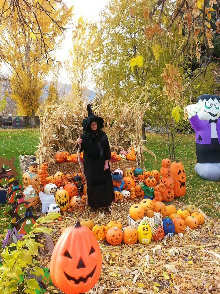 1382975_744199035595337_170832827_n