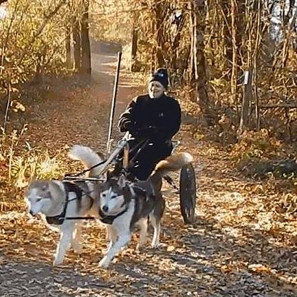 15621604_1475629109131114_2022470719091727757_n