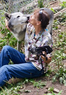 Woman in scrubs,sunglasses on her head, muzzle in hand, sitting on the ground, being kissed by a wolf. (yes, that’s a full-blood wolf, at a sanctuary I help. No, she’s not tame)