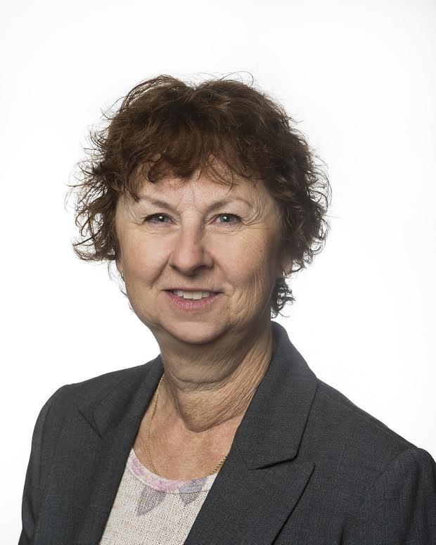 lynn-head-shot-american-sentinel