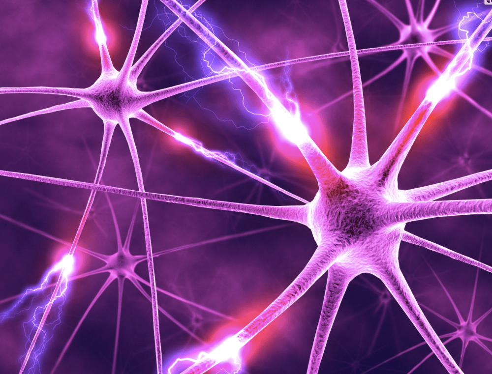 screen-shot-2017-01-19-at-1-10-06-pm