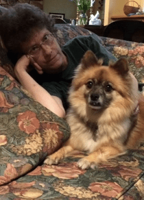 screen-shot-2017-01-19-at-7-16-49-pm