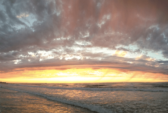 screen-shot-2017-01-19-at-9-01-52-pm